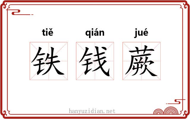 铁钱蕨 铁钱蕨
