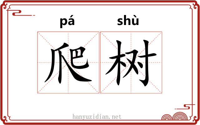 爬树