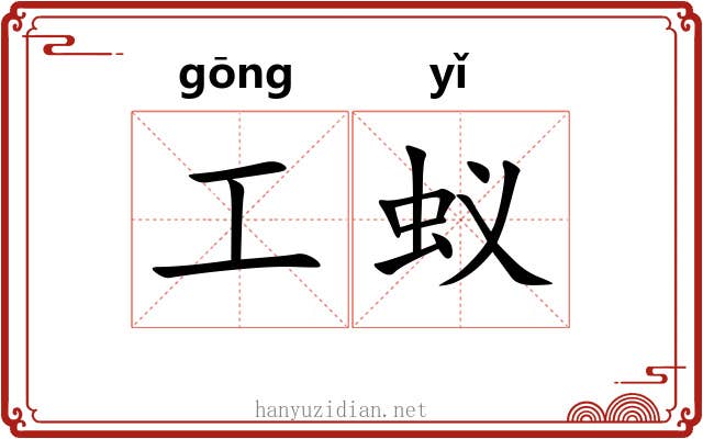 工蚁 工蚁