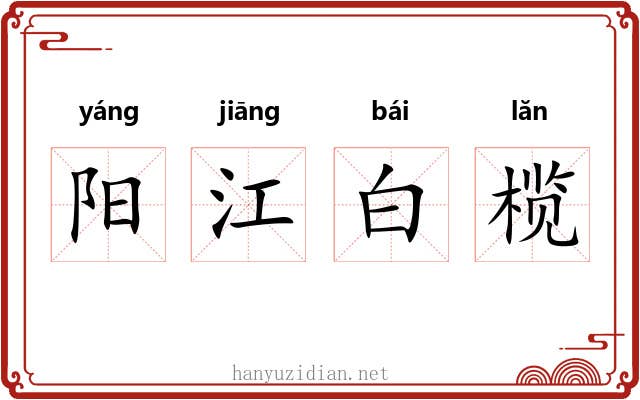阳江白榄 阳江白榄