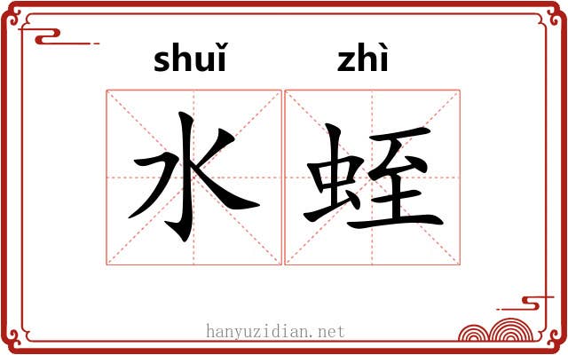 水蛭 水蛭