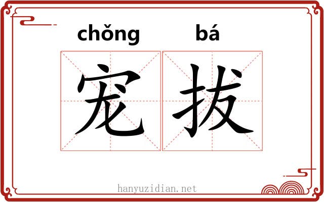 宠拔