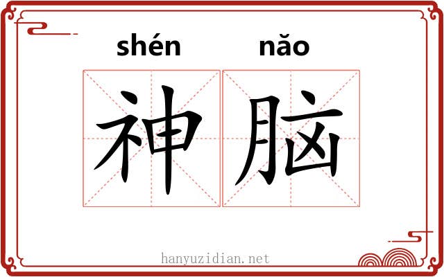 神脑 神脑