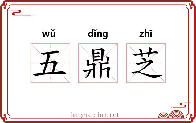 五鼎芝