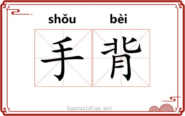 手背 手背