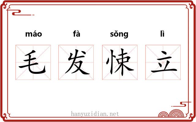 毛发悚立 毛发悚立