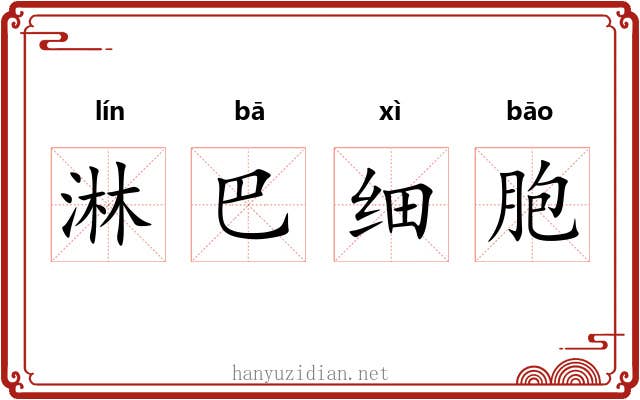 淋巴细胞