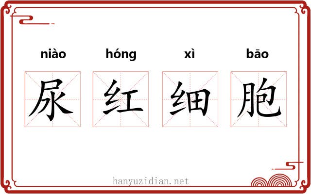 尿红细胞 尿红细胞