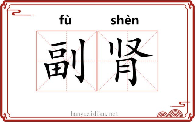 副肾
