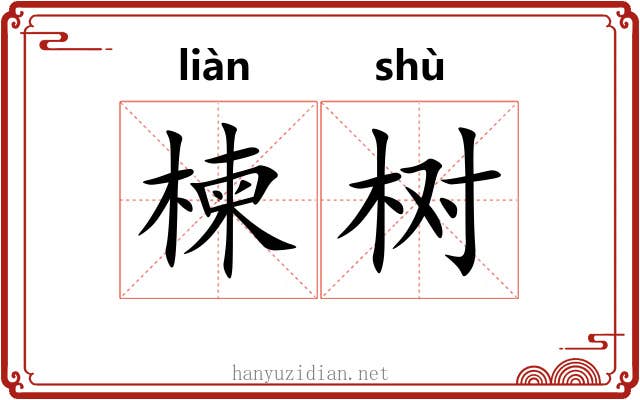 楝树