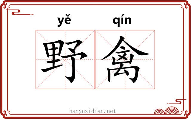 野禽