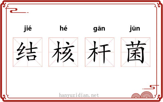 结核杆菌 结核杆菌
