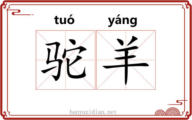 驼羊