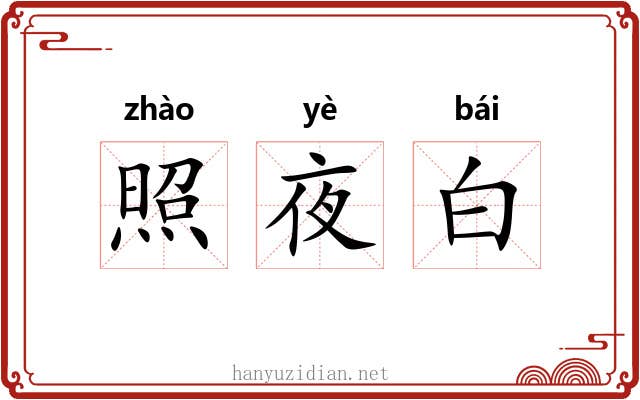 照夜白 照夜白