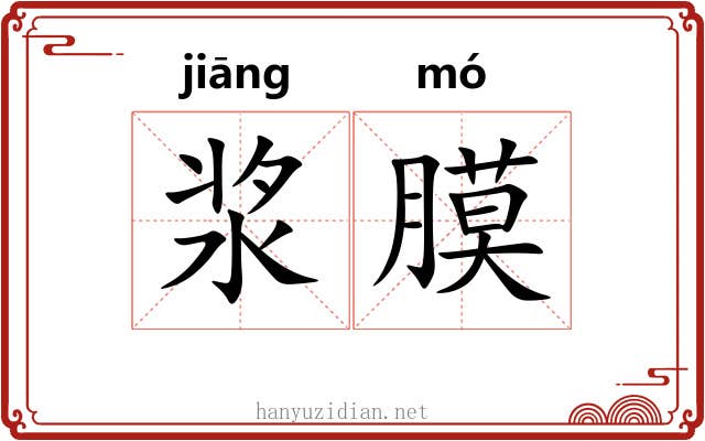 浆膜