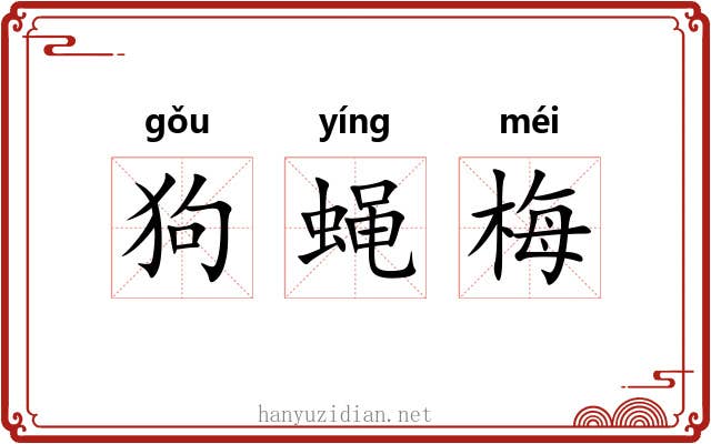 狗蝇梅 狗蝇梅