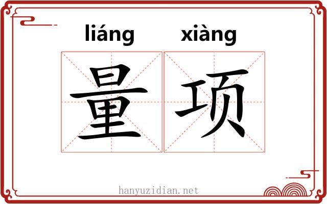 量项 量项
