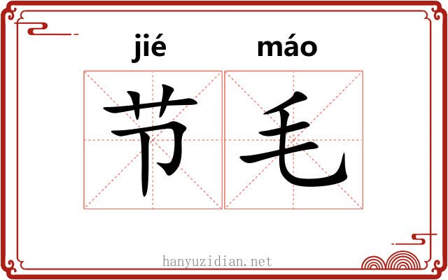 节毛 节毛