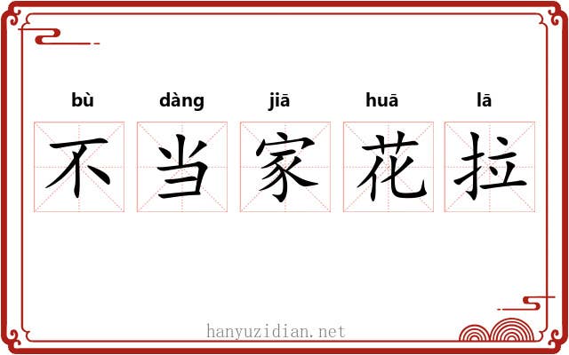 不当家花拉 不当家花拉