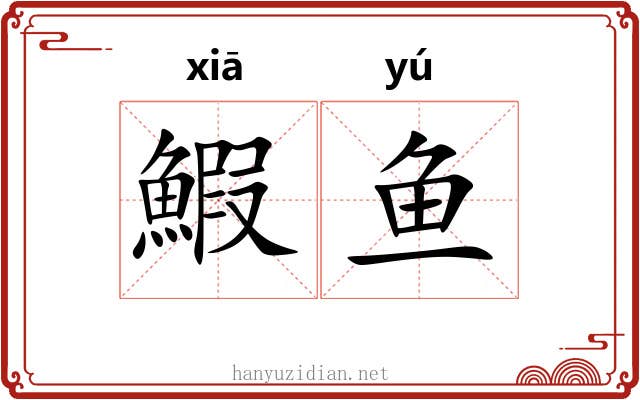 鰕鱼 鰕鱼