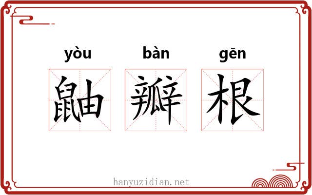 鼬瓣根 鼬瓣根