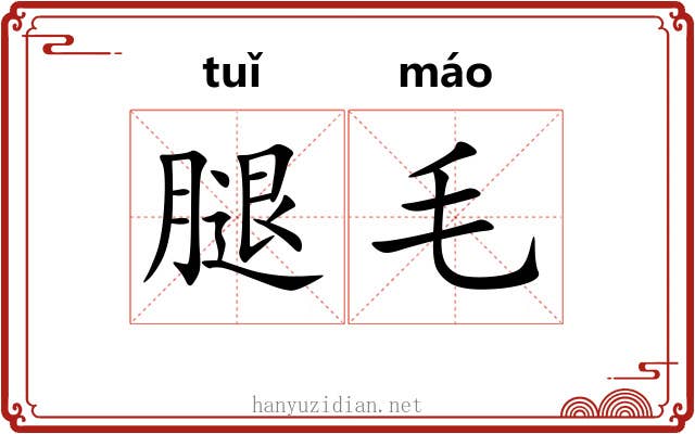 腿毛 腿毛