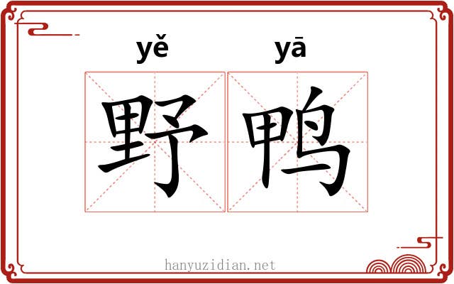 野鸭