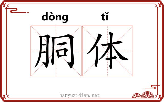 胴体 胴体