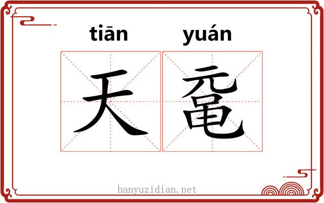 天鼋 天鼋