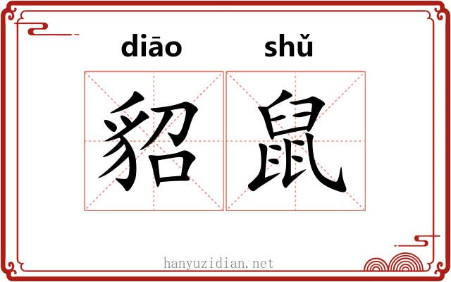 貂鼠