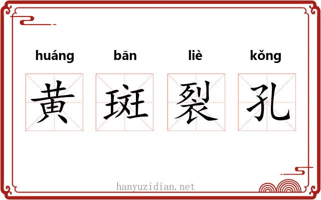 黄斑裂孔 黄斑裂孔