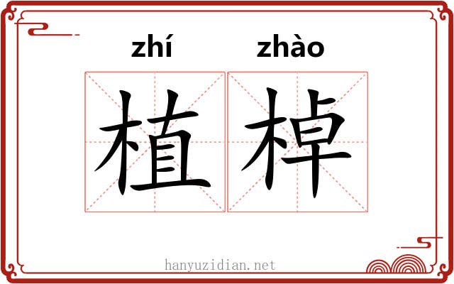 植棹