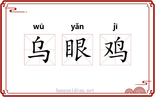 乌眼鸡 乌眼鸡