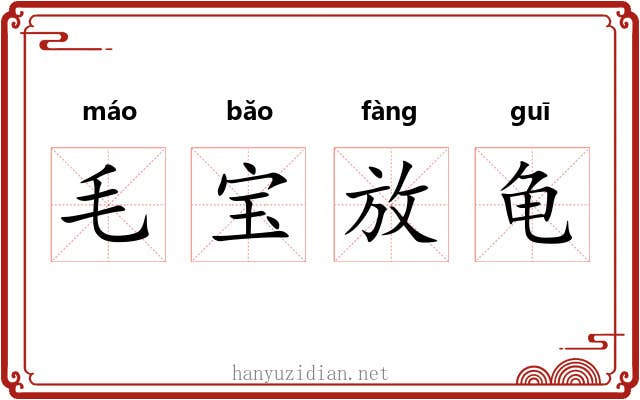 毛宝放龟 毛宝放龟