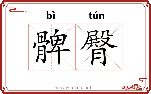 髀臀