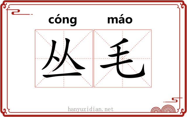 丛毛 丛毛
