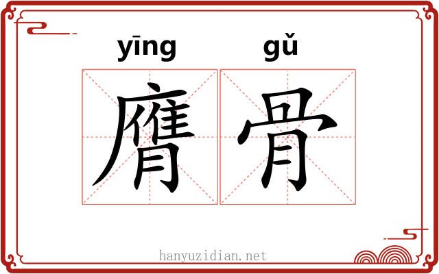 膺骨 膺骨