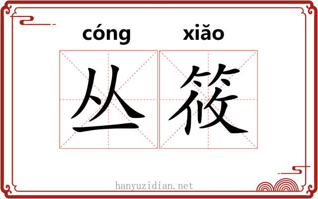 丛筱
