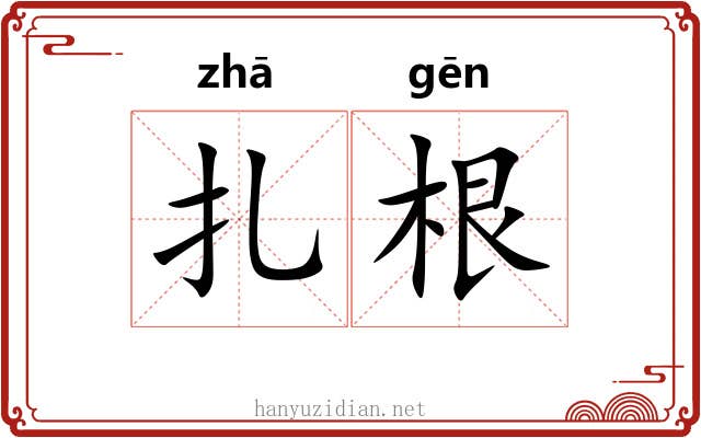 扎根 扎根