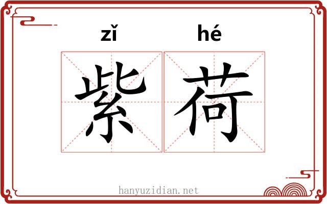 紫荷