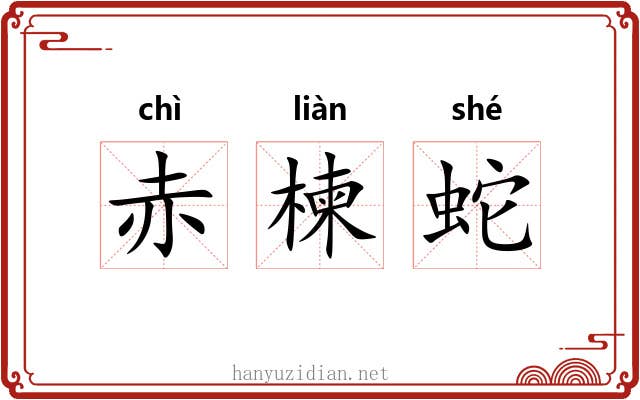 赤楝蛇 赤楝蛇