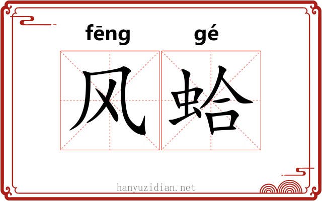 风蛤 风蛤