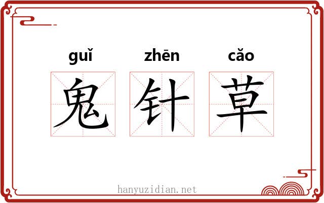 鬼针草 鬼针草