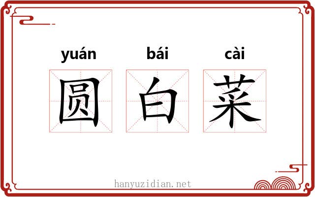 圆白菜