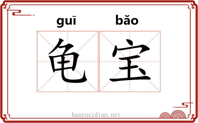 龟宝 龟宝