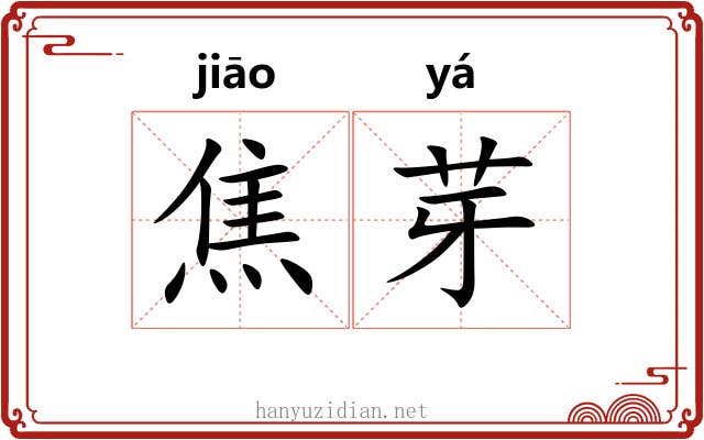 焦芽