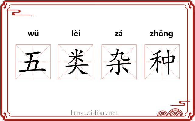 五类杂种 五类杂种