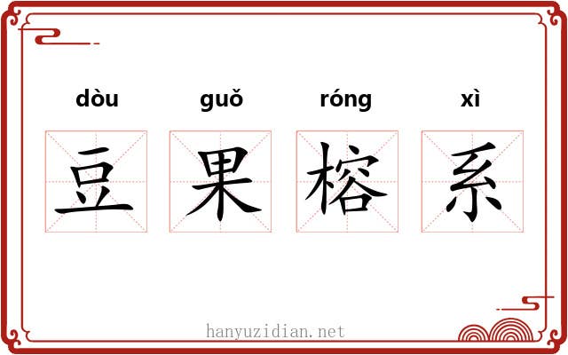 豆果榕系 豆果榕系