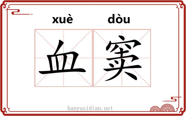 血窦 血窦