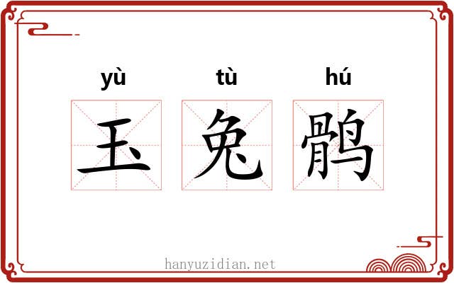 玉兔鹘 玉兔鹘